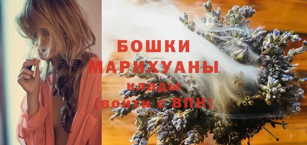винт Нягань