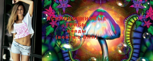 хмурый Няндома